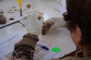 A woman wearing latex gloves surrounded by small bottles and other equipment for soil testing.