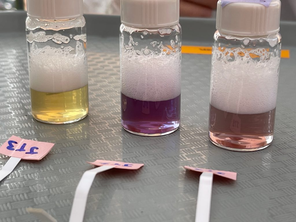 Three vials, one containing yellow liquid, one containing purple liquid, and one containing a grayish liquid.