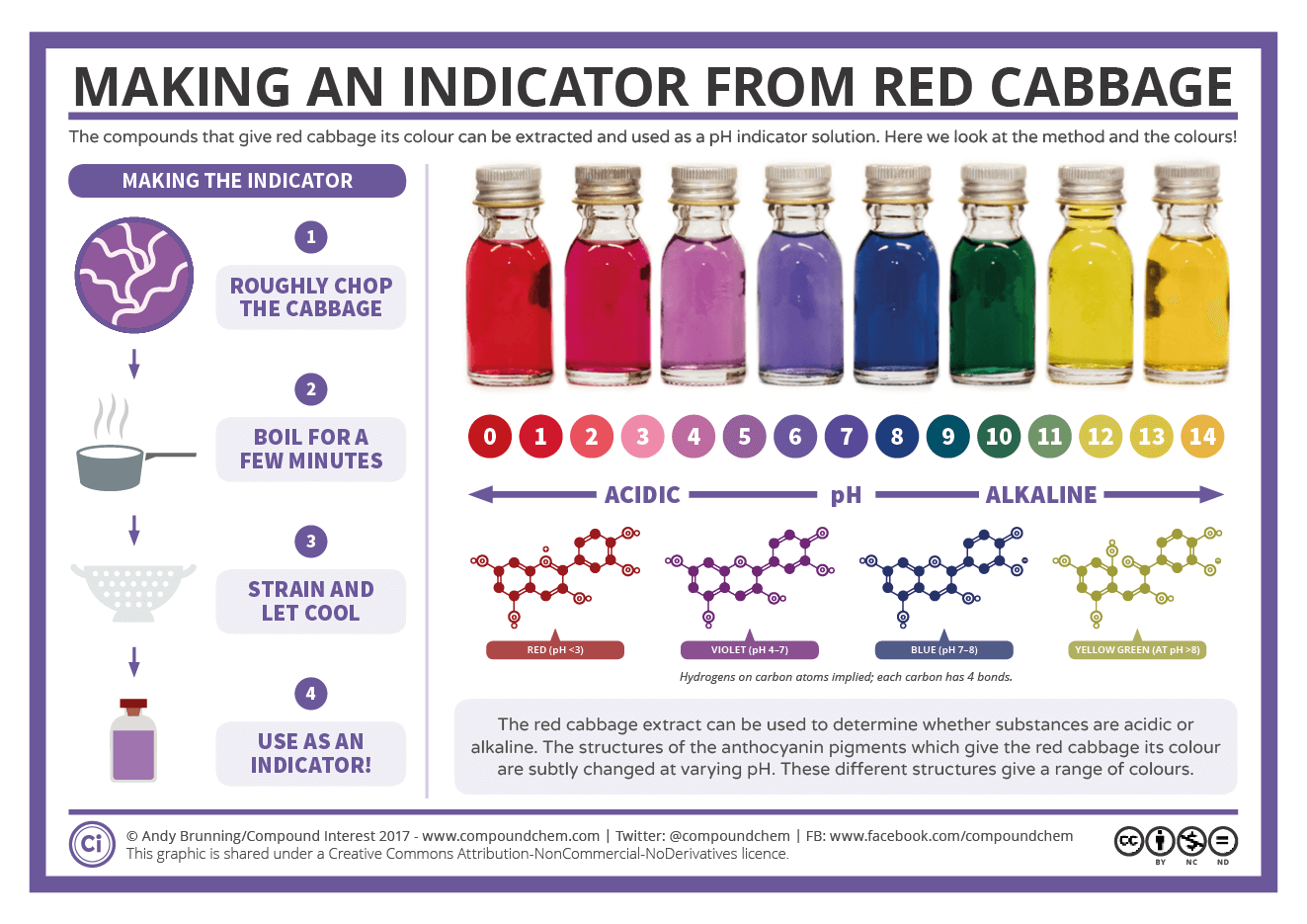 Making an indicator from red cabbage